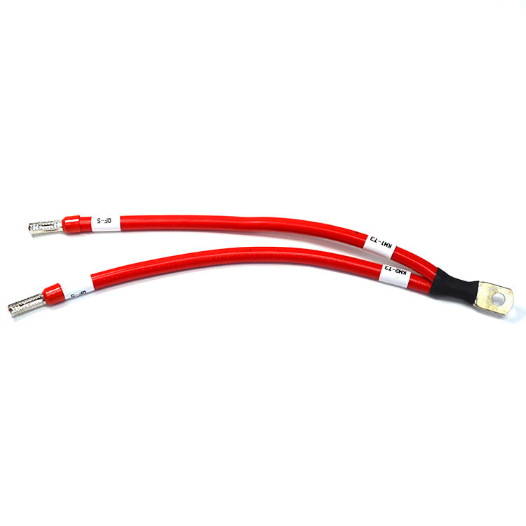 Ring Terminal Wire Harness-02